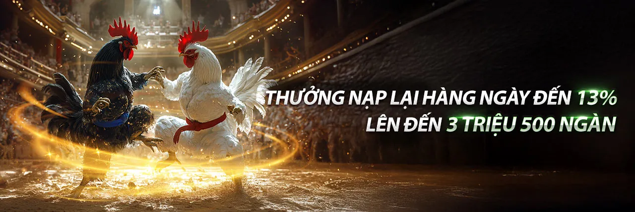 Banner khuyến mãi chào mừng thành viên mới 5net